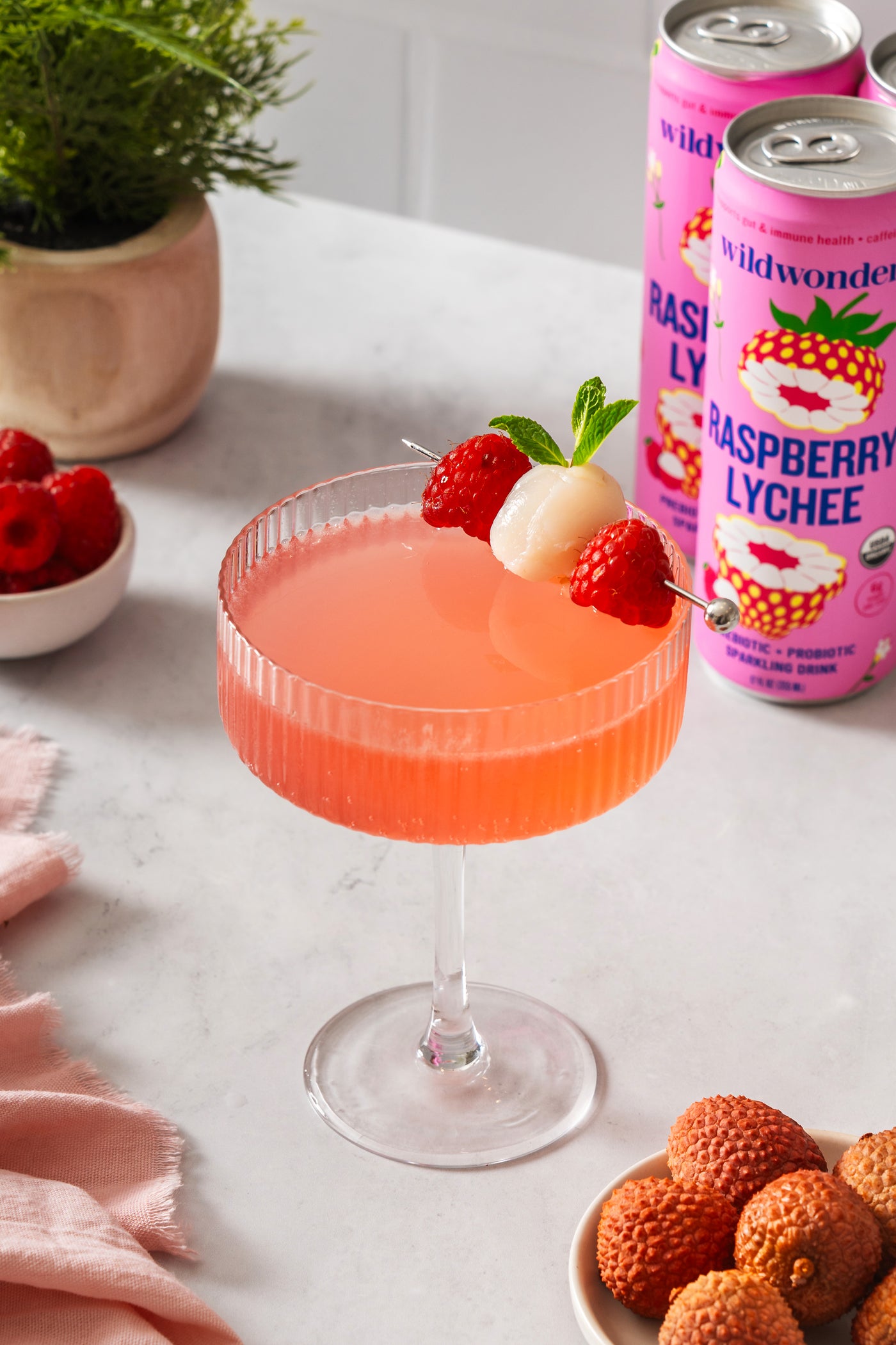 Raspberry Lychee Martini Mocktail