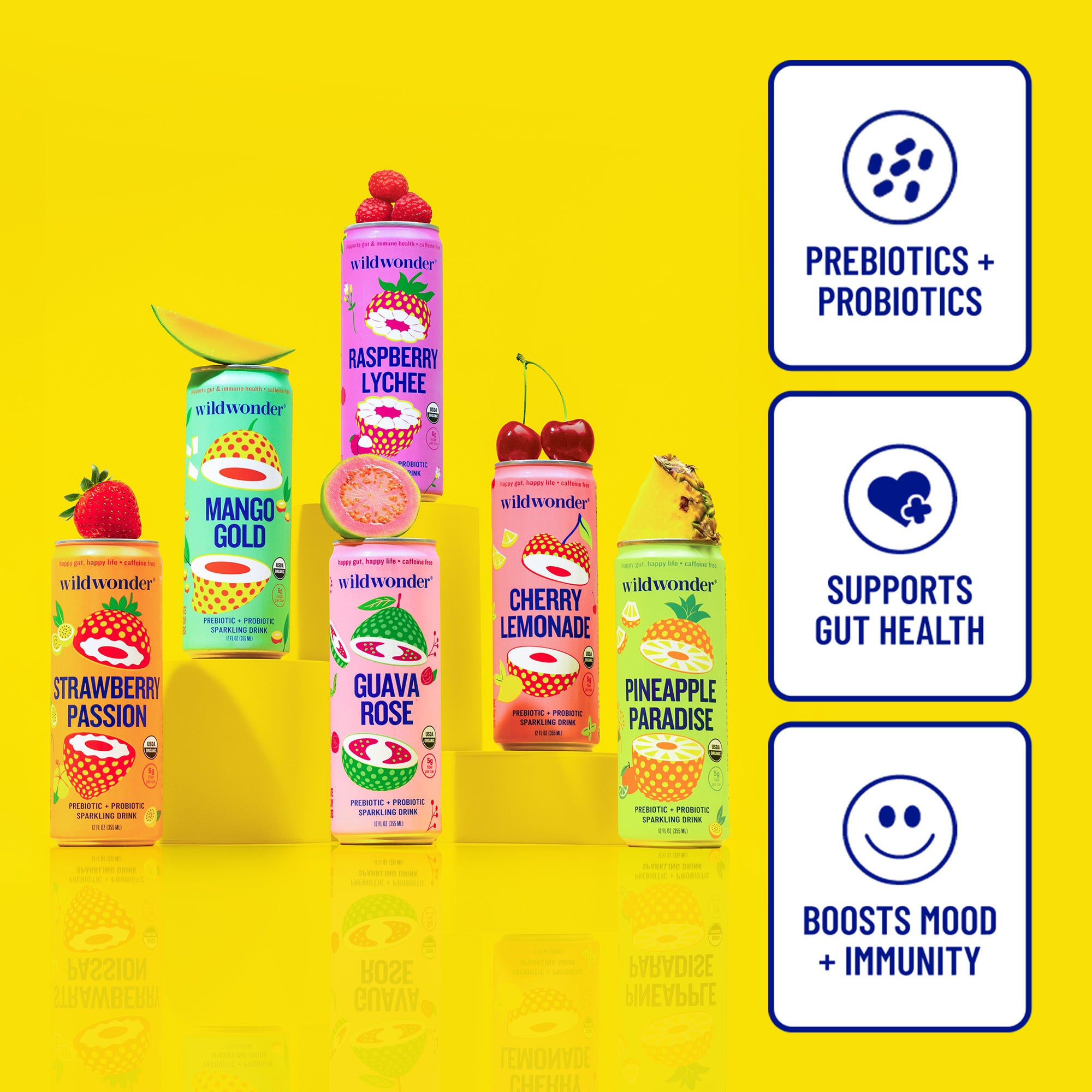 Wildwonder Sparkling Drink Variety Pack – wildwonder