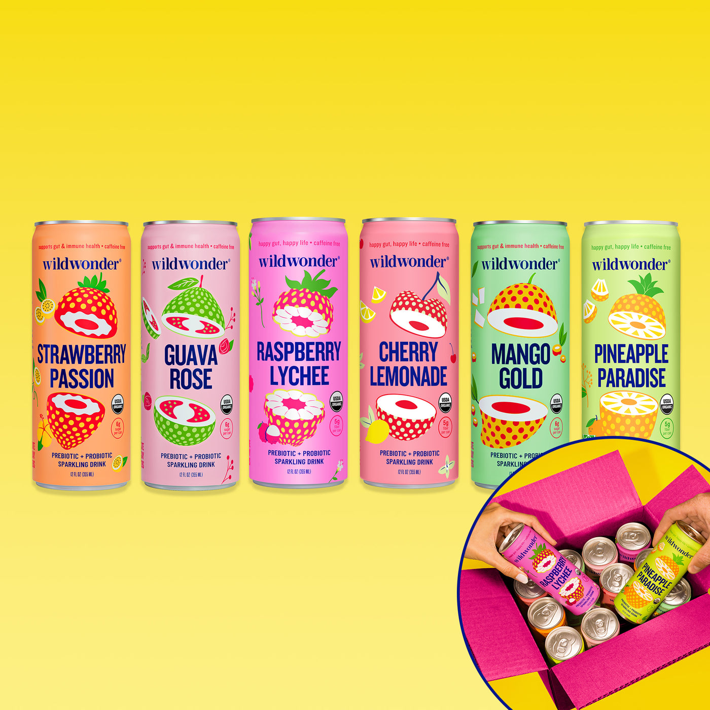 Wildwonder Sparkling Drink Variety Pack – wildwonder