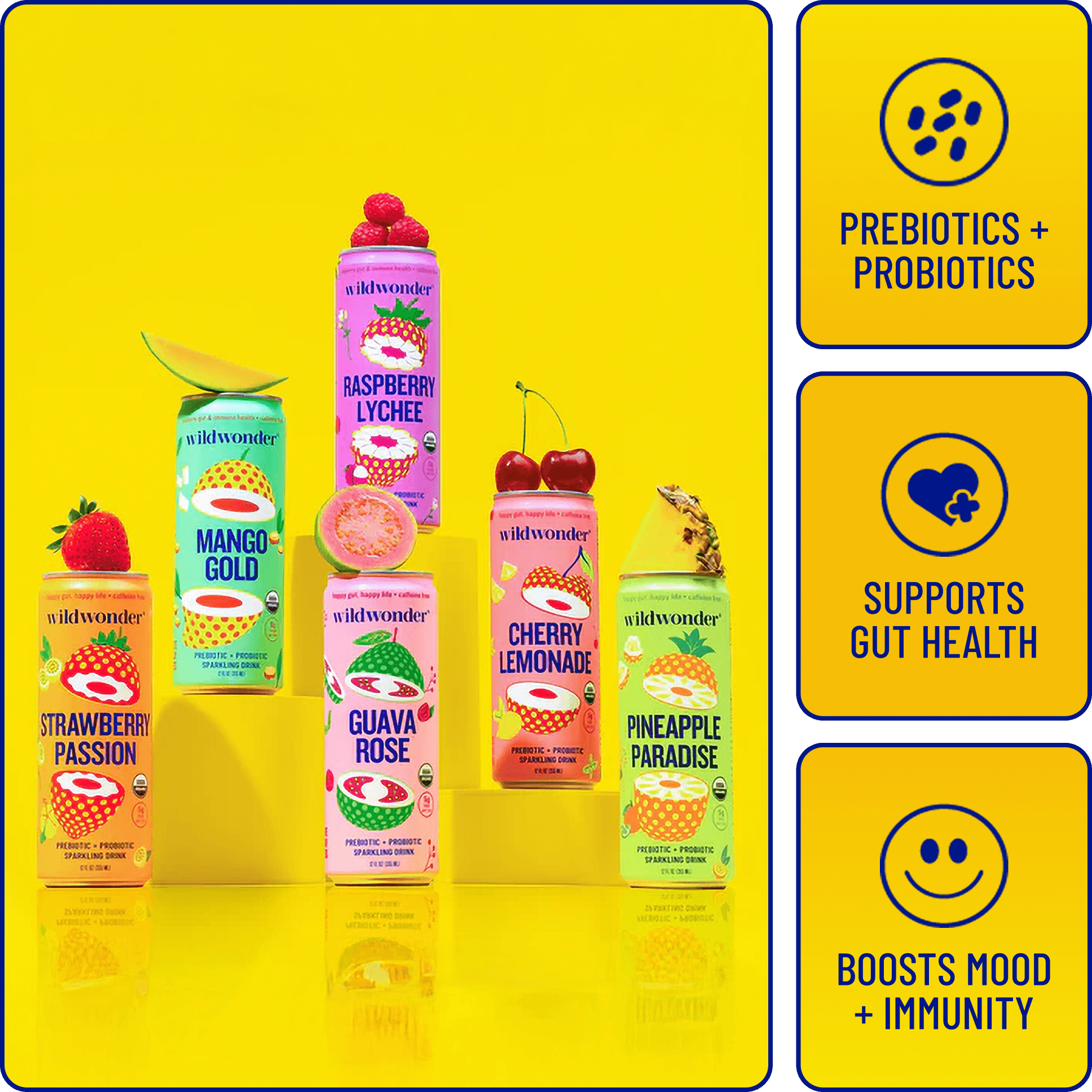 Wildwonder Sparkling Drink Variety Pack – wildwonder Wildwonder Sparkling Drink Variety Pack – wildwonder