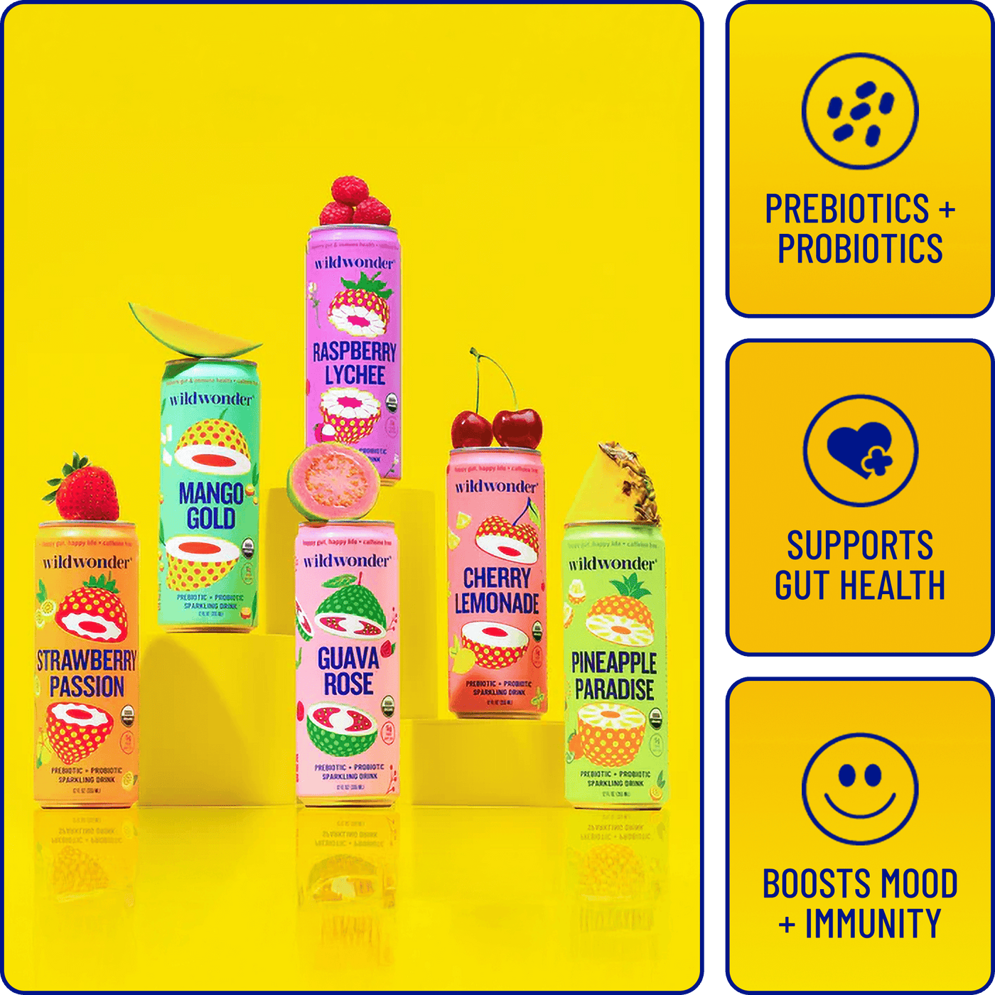 Classic Variety Pack