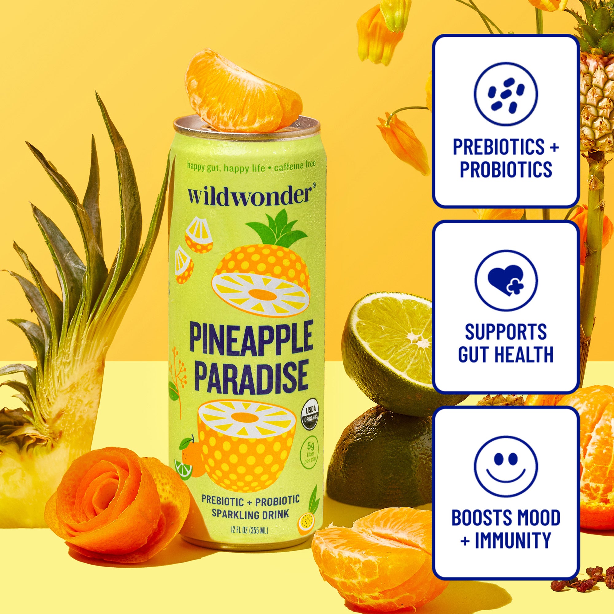 Pineapple Paradise Gut Friendly Sparkling Drink – wildwonder