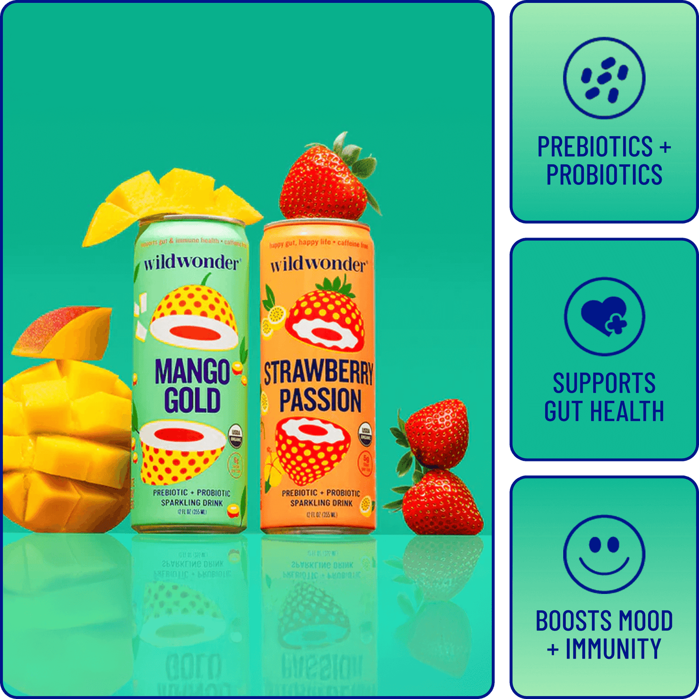 Rosa's Favorite Variety Pack