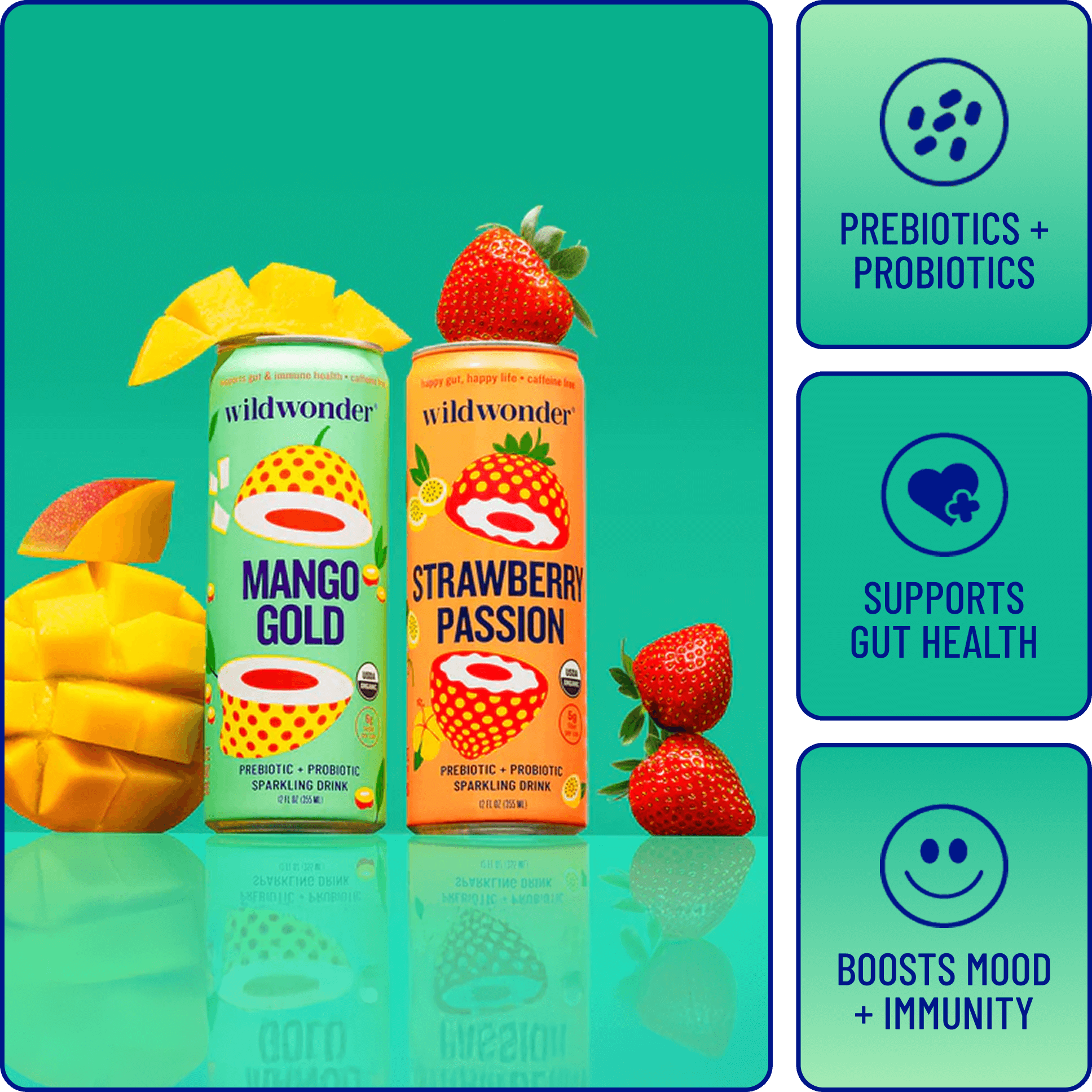 Rosa's Favorite Variety Pack