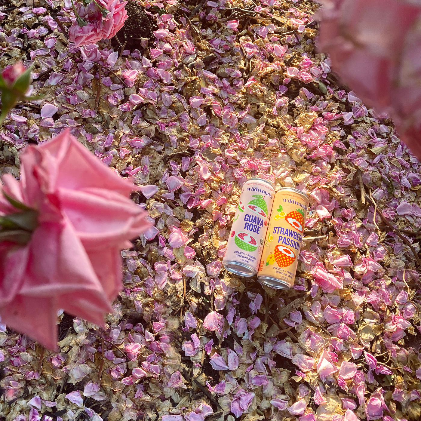 Cans of Guava Rose and Strawberry Passion laying in a field of flower petals.